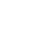 Folly Logo